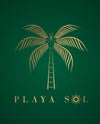 PLAYA SOL logo